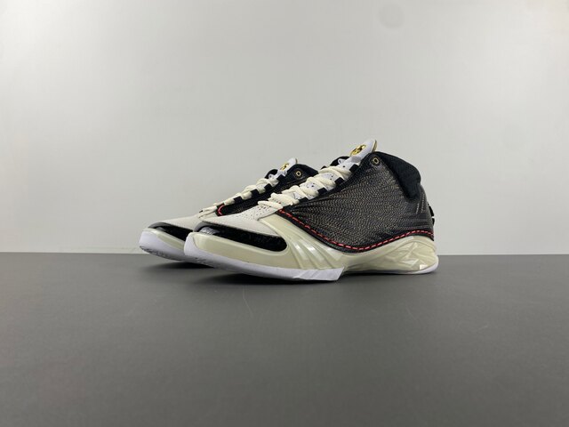 Titan x Air Jordan 23 CZ6222-001
