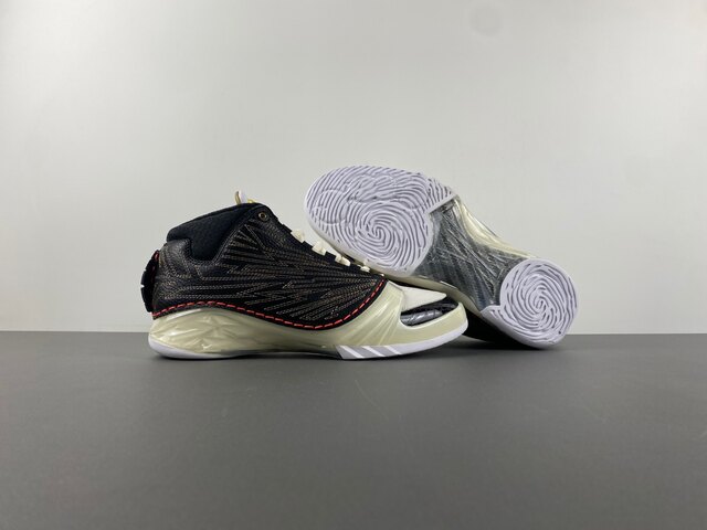 Titan x Air Jordan 23 CZ6222-001