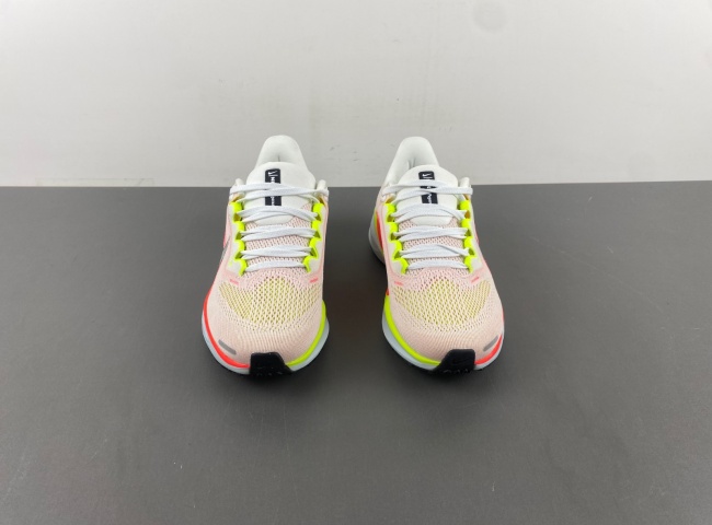 Nike Pegasus FD2723-100