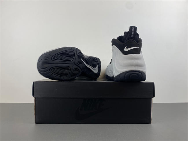 Nike Air Foamposite Pro “Wolf Grey” HF0794-001