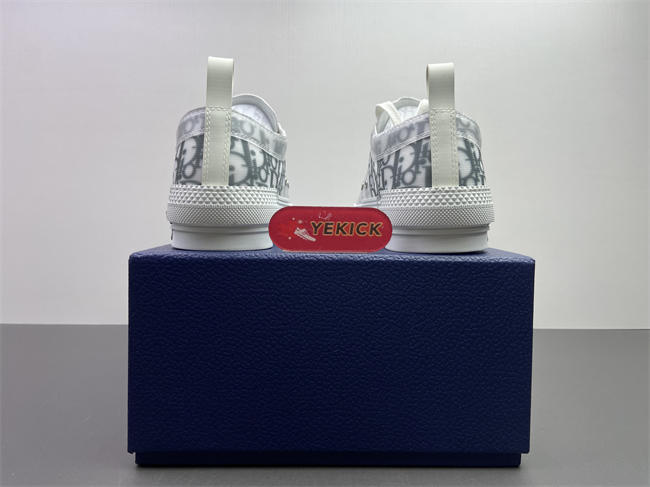 DR B23 OBLIQUE LOW TOP SNEAKER